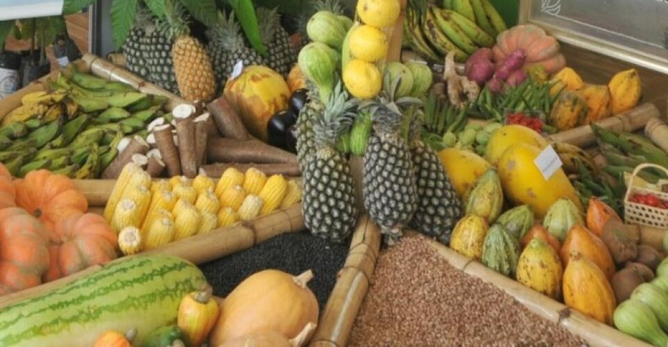 Prefeitura e governo estadual lançam Programa de Aquisição de Alimentos
