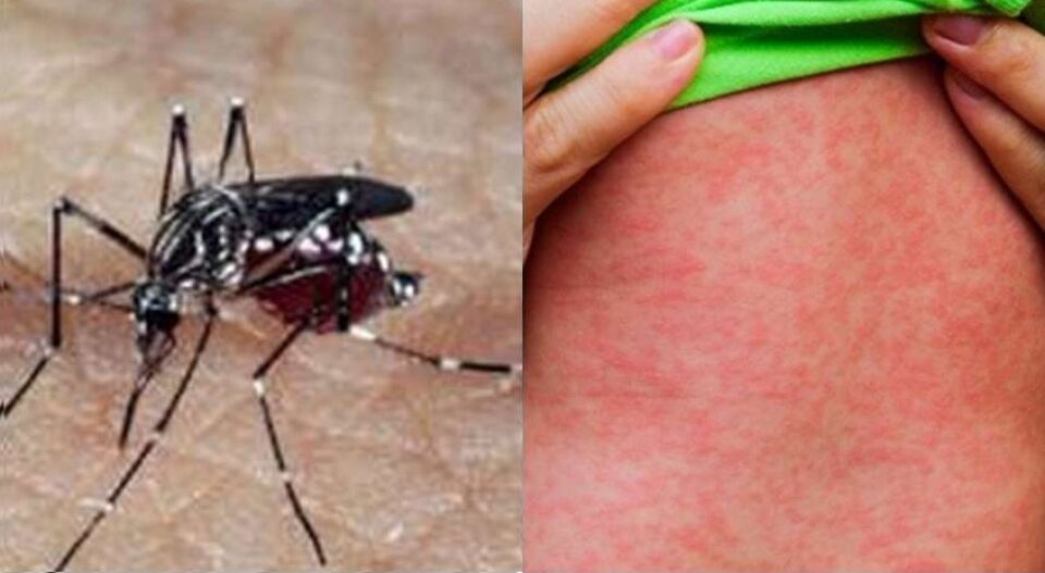 Brasil registra quase 600 mil casos confirmados de dengue em 2019