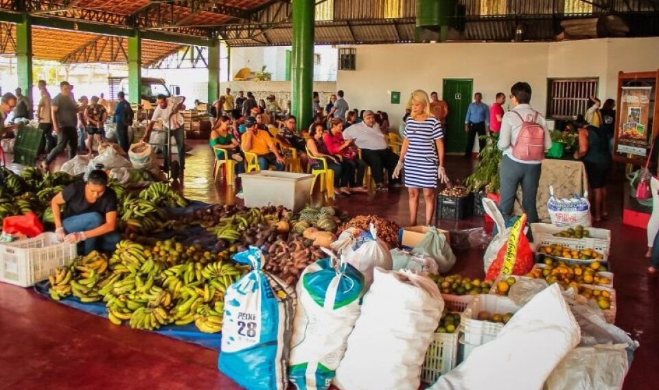 Programa de Aquisição de Alimentos beneficia mais de 100 produtores da agricultura familiar de Porto Velho