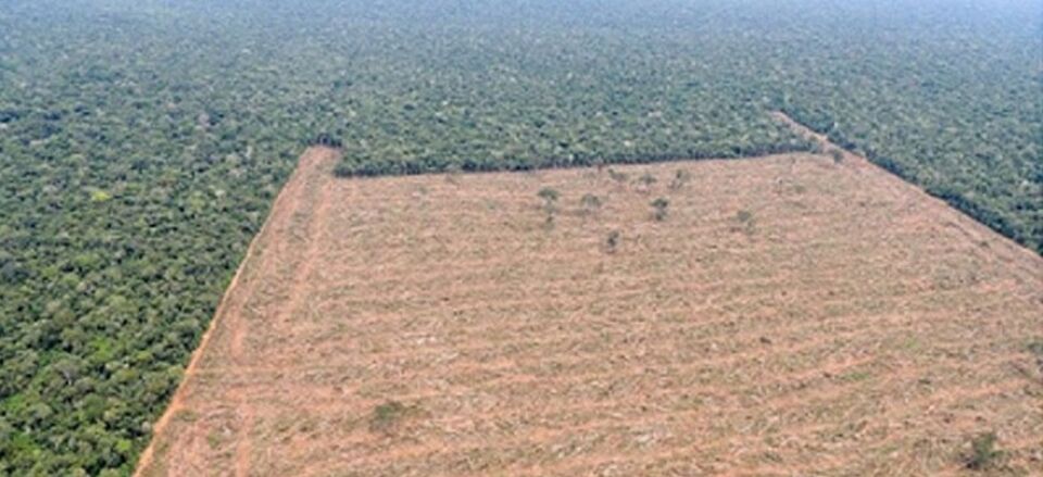 Pará está mal na fita, outra vez