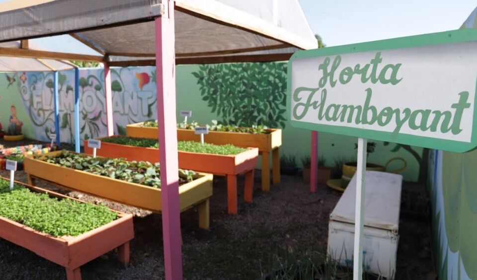 Alunos da Escola Flamboyant passam a contar com uma horta sustentável