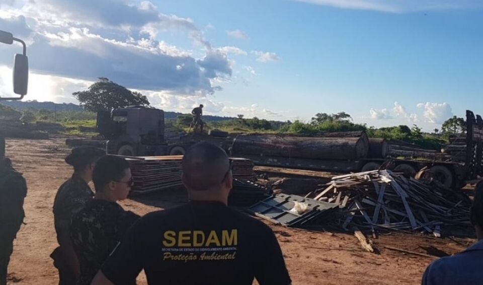 Sedam já fez 515 autuações de crimes contra o meio ambiente esse ano