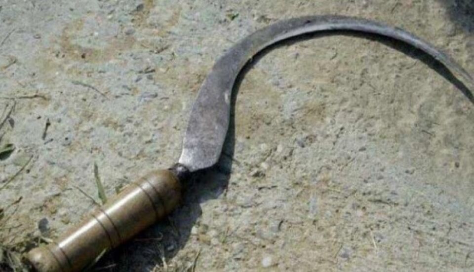 Mulher corta pênis de seu cunhado com foice após ser estuprada