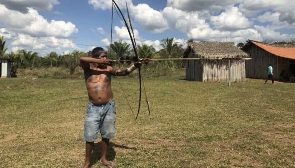 Rondônia: Aumentam invasões e perigo de conflito armado em terras indígenas