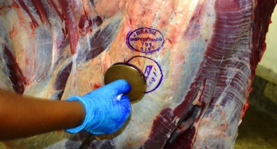 Este ano a carne desossada vem respondendo com 30% das exportações de Rondônia