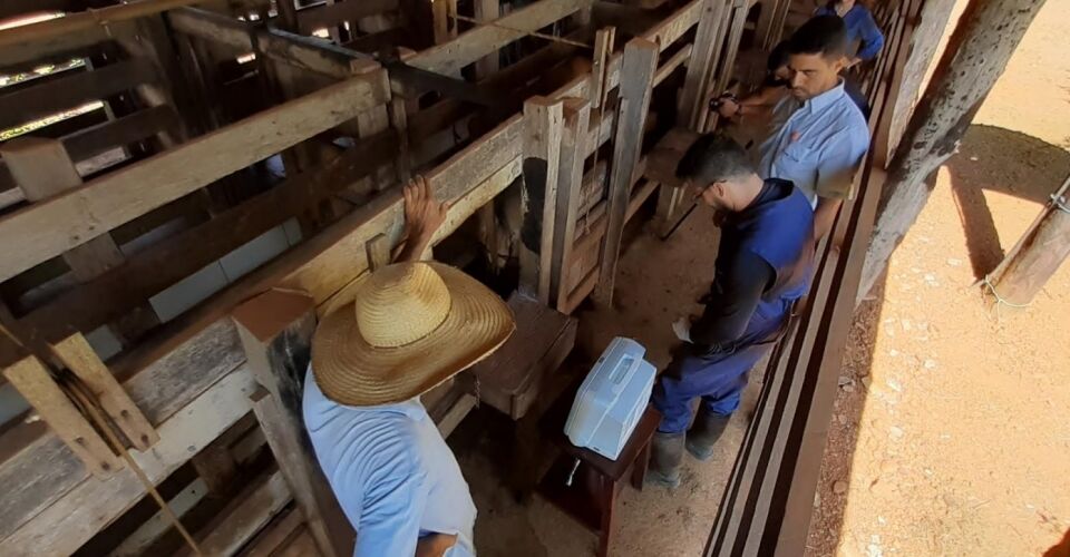 Projeto atende propriedades do Vale do Jamari e da Região Central de Rondônia