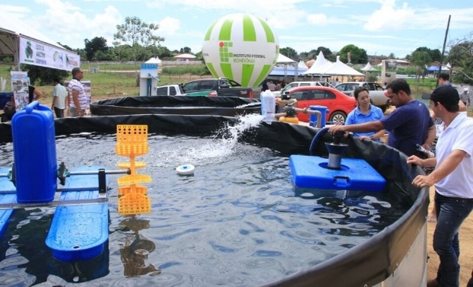 A piscicultura de Rondônia sai do amadorismo para a tecnologia