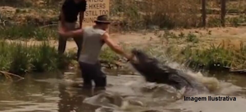 URGENTE: Pescador sofre ataque de jacaré no rio, em Rondônia