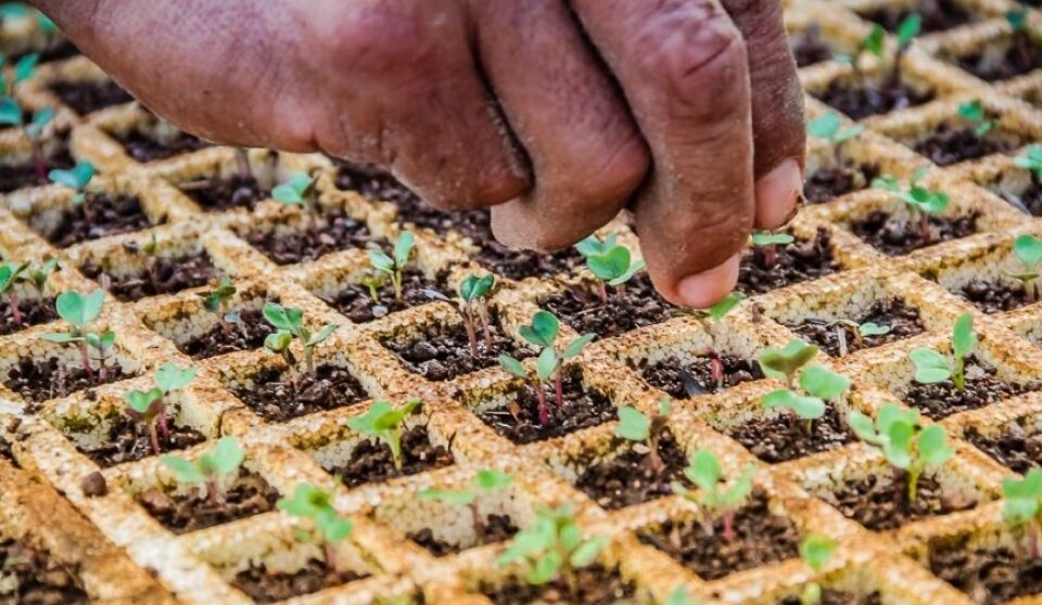 Mais de 60 mil famílias já foram beneficiadas