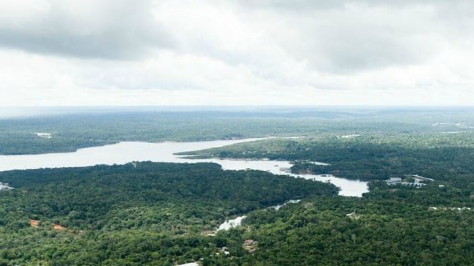 Cidadania, Florestania: a Amazônia, titular de direitos