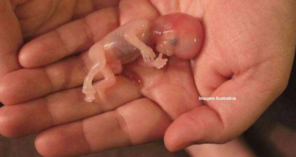 Feto é encontrado dentro de caixa, polícia investiga ritual de magia negra