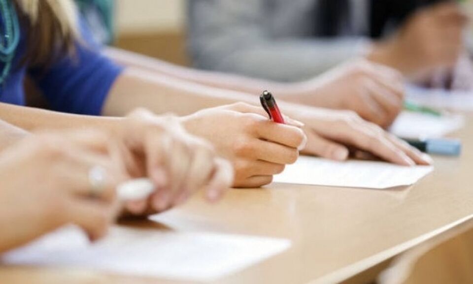 TCE-RO lança edital com vagas para analista de TI e auditor de controle externo