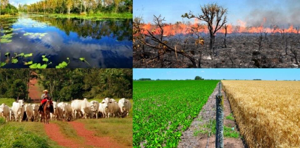 Se encante e se espante com o que diz o Chefe da Embrapa Territorial de Campinas