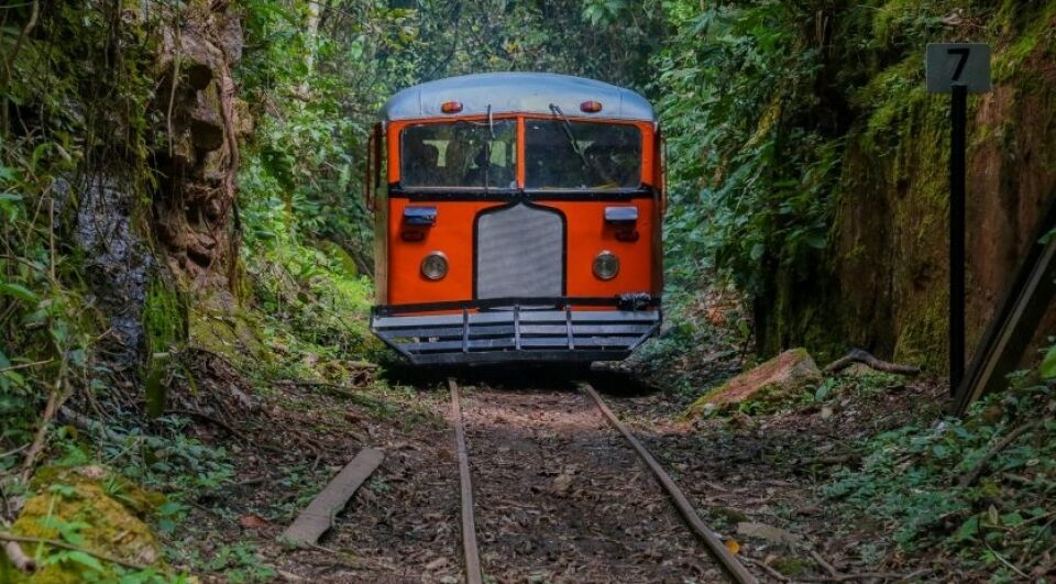 Pontos turísticos de Porto Velho: opções de lazer e conhecimento sobre a história da cidade