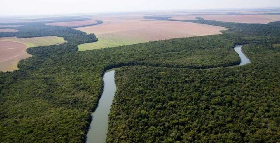 Governadores saem em defesa do Fundo Amazônia