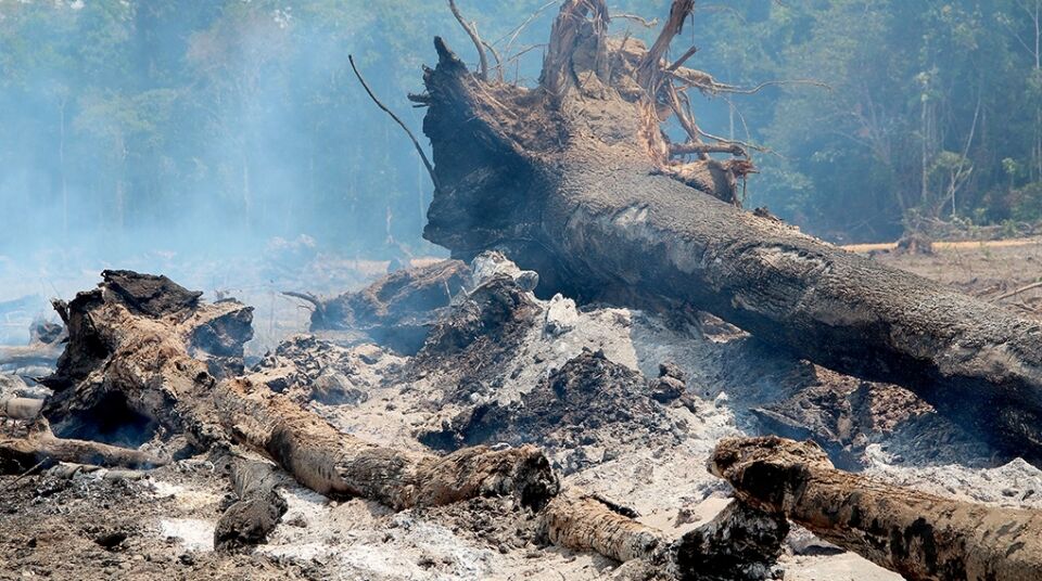 Secretaria do Desenvolvimento Ambiental trabalha conscientização e orientação sobre o uso do fogo ilegal em Rondônia