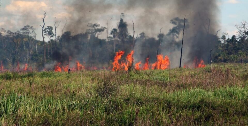 TCE determina que gestores do Estado informem sobre medidas de prevenção e combate a queimadas em Rondônia