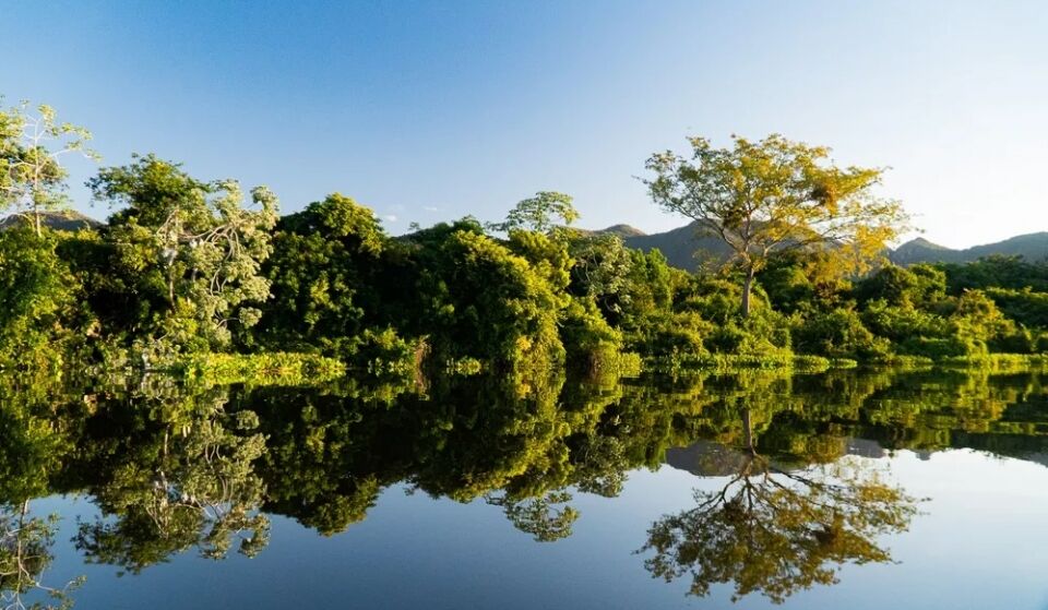 Seminário internacional sobre conservação da Amazônia acontece em Porto Velho; veja programação