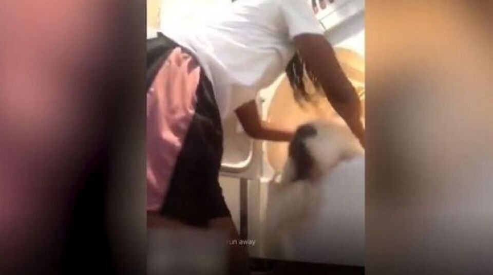Menina joga cachorro em máquina de lavar para ganhar likes