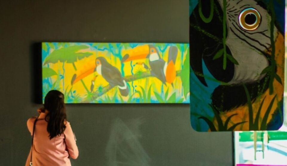 Exposição Cheiro da Mata reúne mais de 25 obras artísticas na Casa de Cultura em Porto Velho