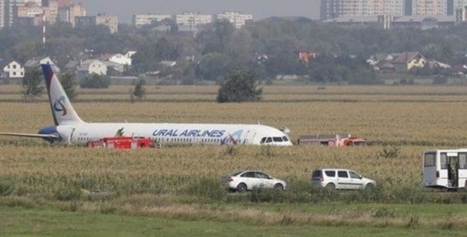 Piloto faz 'pouso milagroso' em plantação de milho depois de bater num bando de pássaros na Rússia