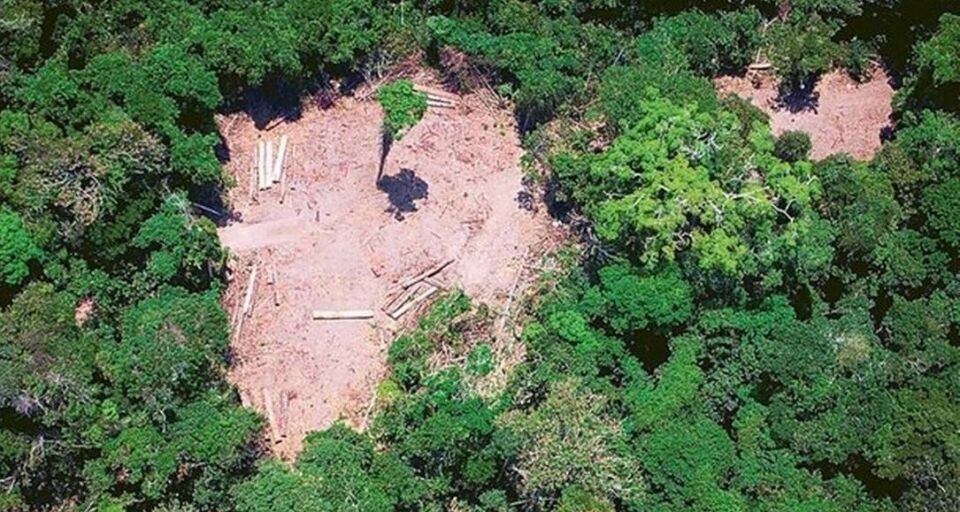 Noruega paralisa repasses para o Fundo Amazônia