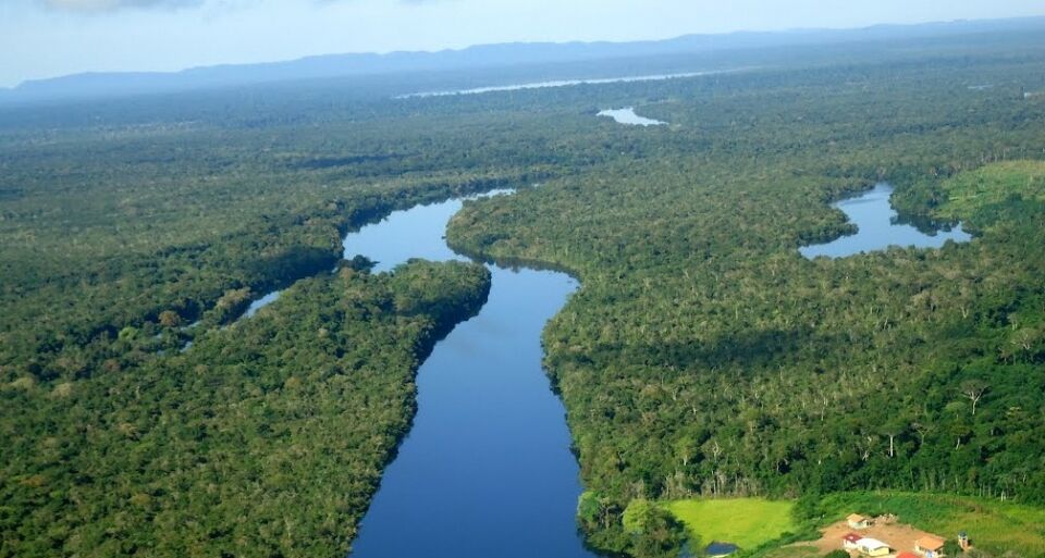 Ministra firma contrato público-privado garantindo a produção sustentável em floresta rondoniense