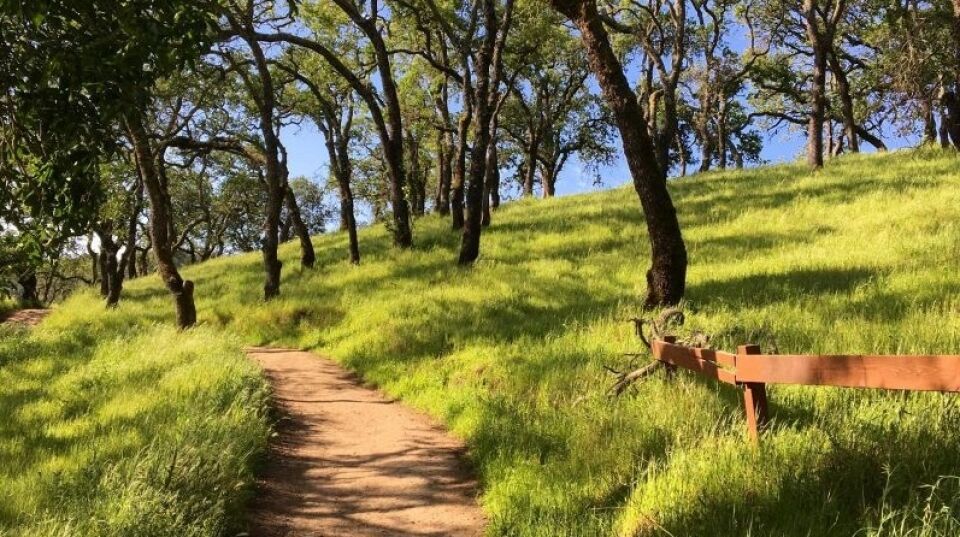 Mulher e 5 homens, de 62 a 85 anos, são presos por sexo grupal em parque