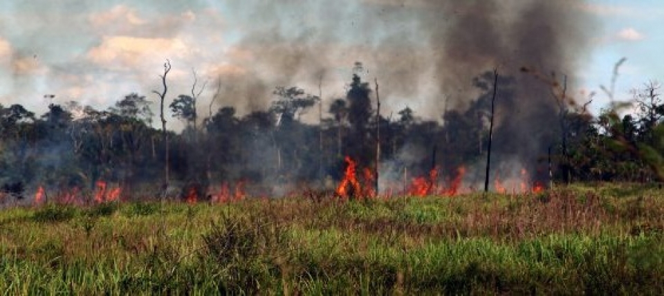 Sedam e Bombeiros se juntam para fiscalizar e combater incêndios
