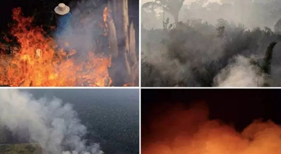 Inferno na floresta: o que sabemos sobre os incêndios na Amazônia