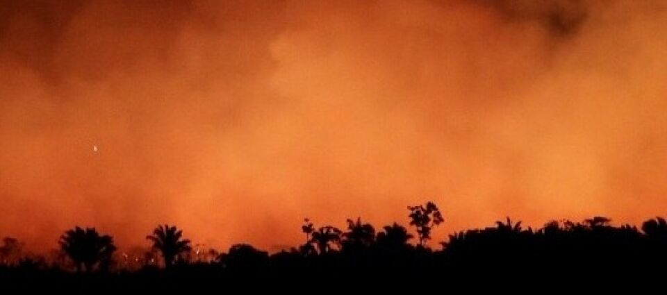Incêndios na Amazônia clareiam até o céu noturno
