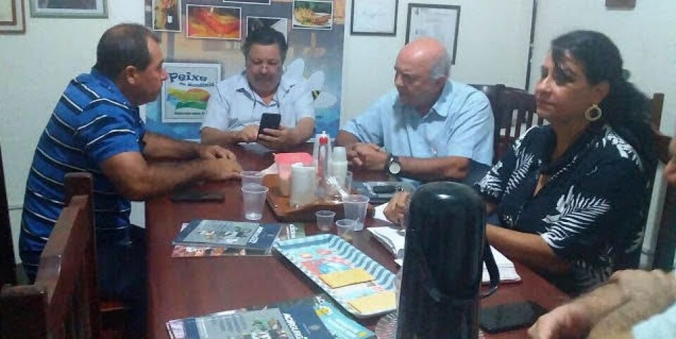 SUSTENTABILIDADE: Árvores com boi e fábrica, Jequitibá dá o recado