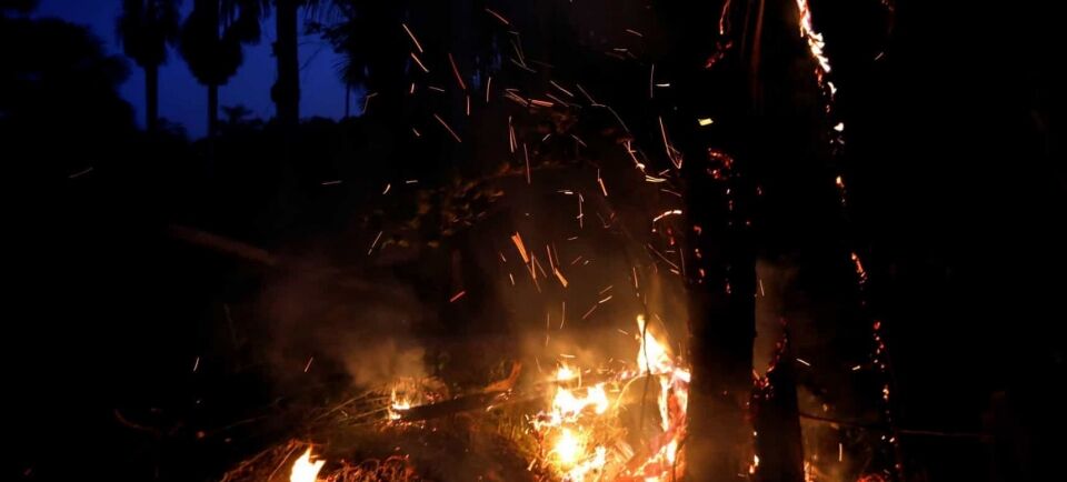 Governo registra diminuição de focos de incêndio na Amazônia