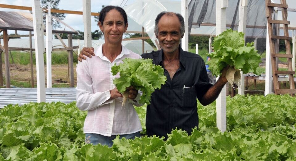 Emater comemora 48 anos presente na vida da família rural em Rondônia