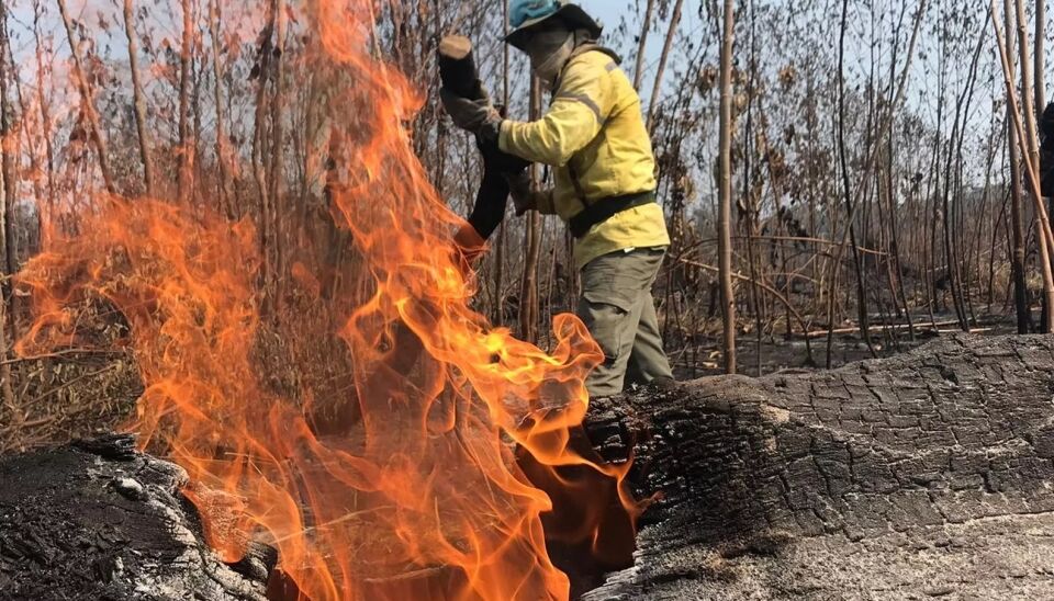 Combate às queimadas chega ao 7° dia em Rondônia; FOTOS
