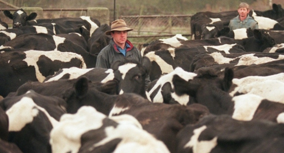 Brasil deve bater recorde de exportações de carne bovina em 2019, diz Rabobank