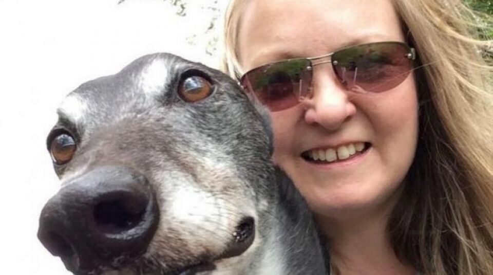 Cão salva vida da dona ao farejar tumor no seio dela