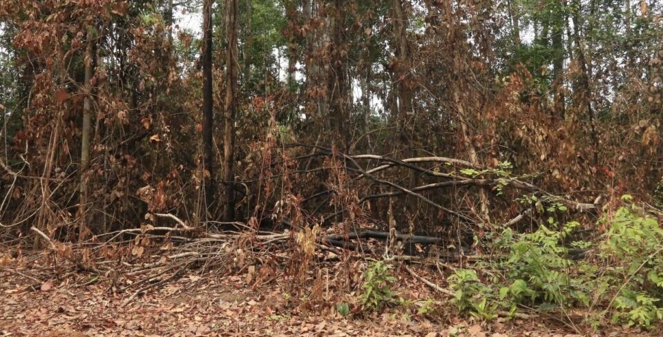 Governo de Rondônia e 17ª Brigada começam a ajustar medidas preventivas para conter índices de queimadas nos próximos anos