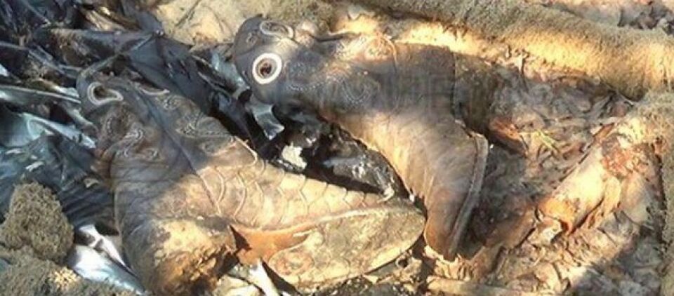 Ossada humana é encontrada enrolada em lona junto com par de botinas em Rondônia