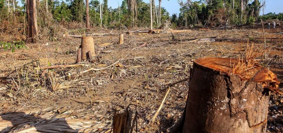 Agronegócio reage à devastação e ao desmonte ambiental