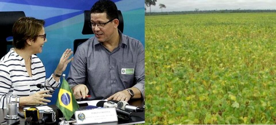 Na 5ª feira a ministra Teresa e o governador Rocha lançarão o plantio da soja em Rondônia