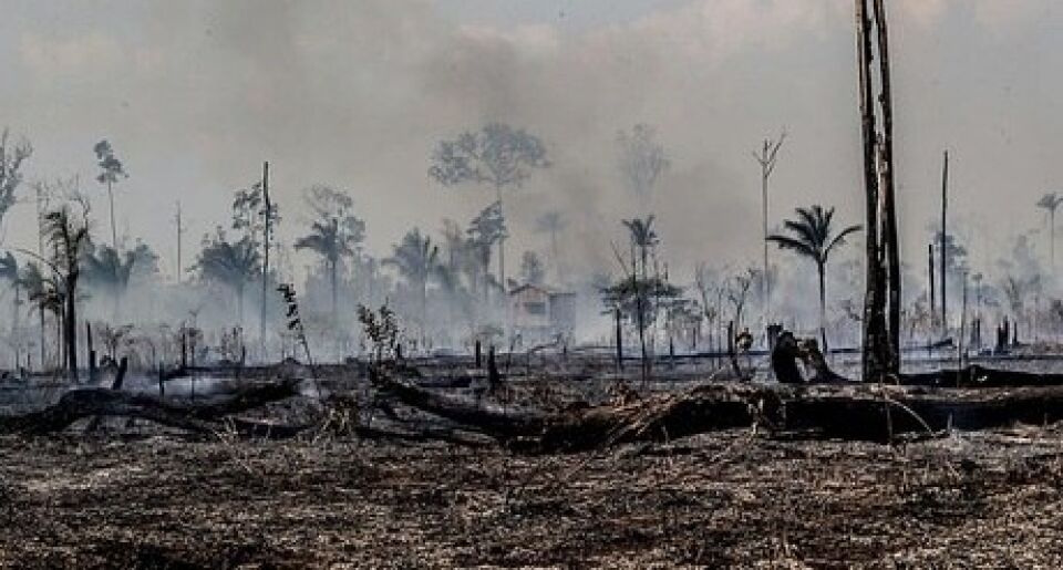 União e Amazônia Legal definem rateio de R$ 430 mi da Lava Jato
