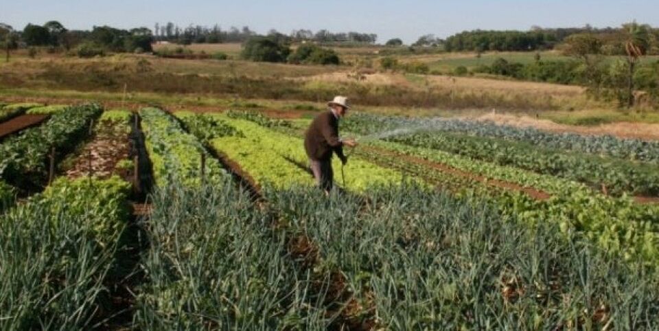 Ministério da Agricultura autoriza 63 agrotóxicos, sete inéditos no país