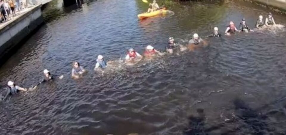 VÍDEO: Corrente humana salva golfinhos presos em canal