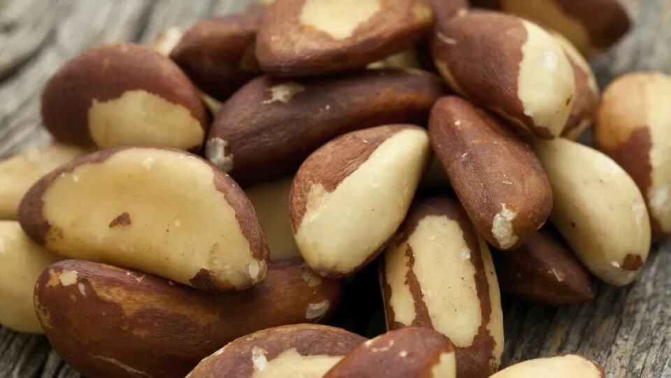 Fechado acordo para exportar castanha, derivado de ovos e frutas à Arábia Saudita
