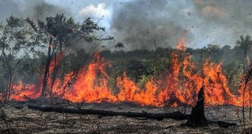 Últimos 5 anos são os mais quentes da história, diz ONU