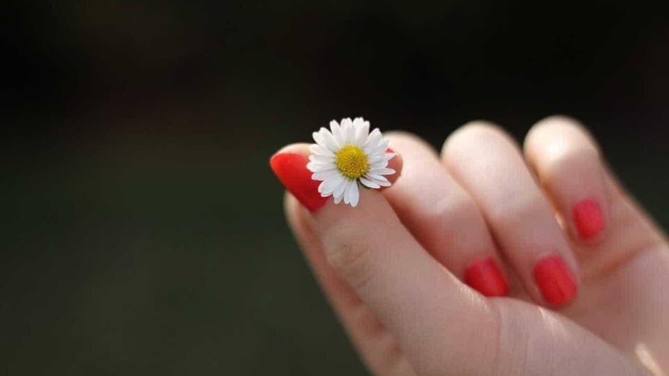 Primavera começa hoje, mas chuvas devem vir apenas em outubro