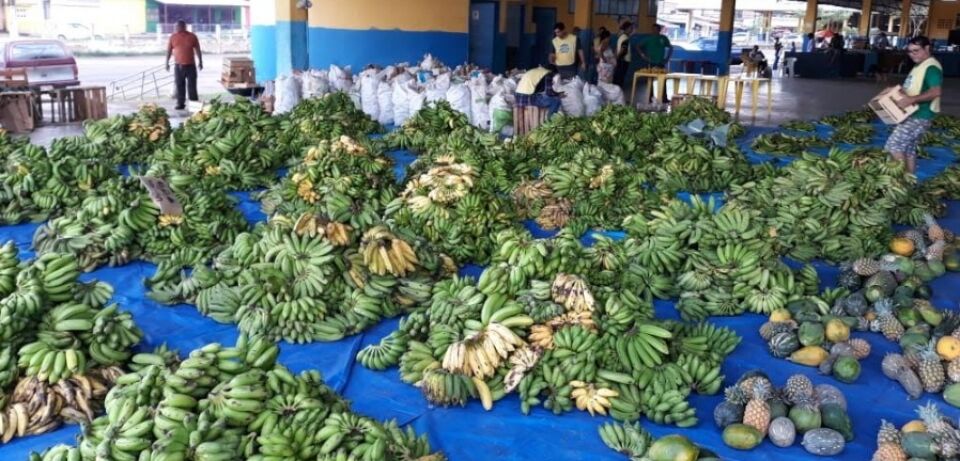 PAA entregou 17 mil toneladas de alimentos neste mês de setembro