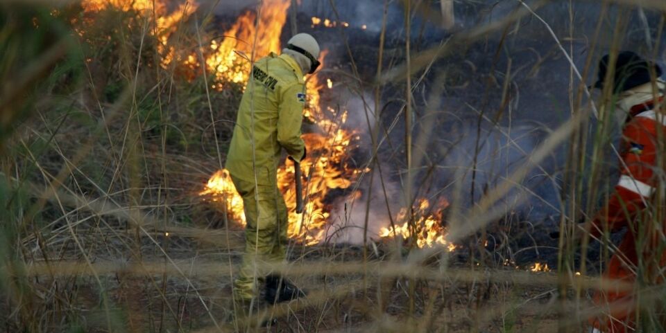 Crimes contra a natureza: Saiba como a Polícia Técnico-Cientifica desvenda crimes em Rondônia