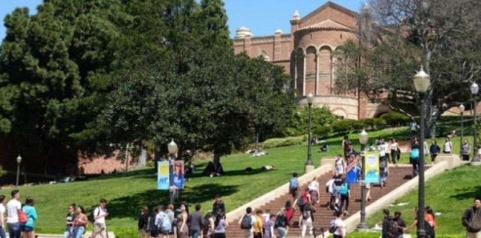 1º Instituto de Gentileza do mundo vai ensinar bondade